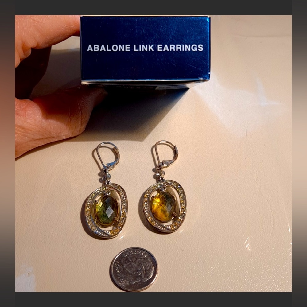 New Avon Abalone Link earrings 2007